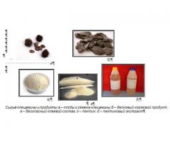 Технология комплексной переработки плодов клещевины