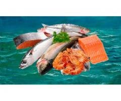 Безопасность рыбы и морепродуктов
