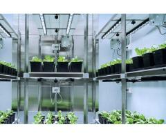 Многосекционная климатическая камера для производства культурных растений